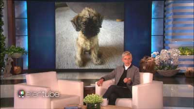 Ellen and Puppy